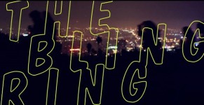 the bling ring (1)