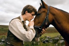 war-horse